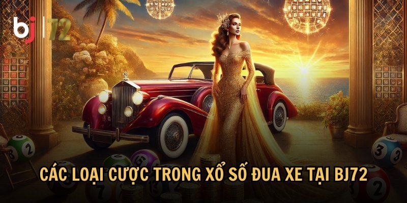 Các loại hình thức cá cược phổ biến tại nhà cái 