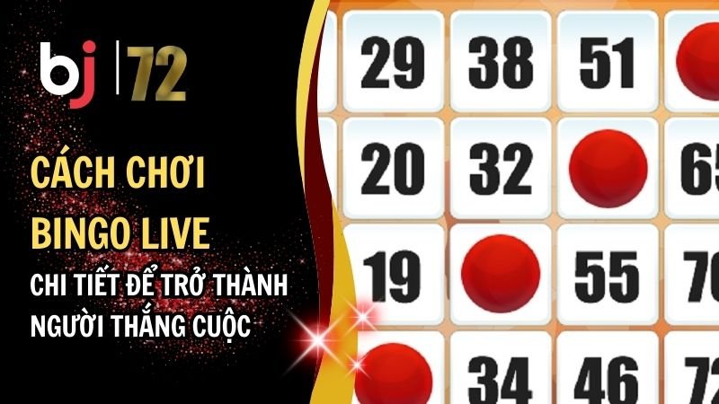 Cách Chơi Bingo Live - Chi Tiết Để Trở Thành Người Thắng Cuộc