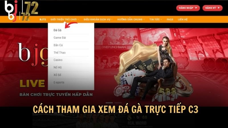 Cách tham gia xem đá gà trực tiếp C3