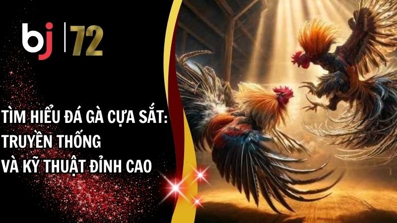 Tìm Hiểu Đá Gà Cựa Sắt: Truyền Thống và Kỹ Thuật Đỉnh Cao