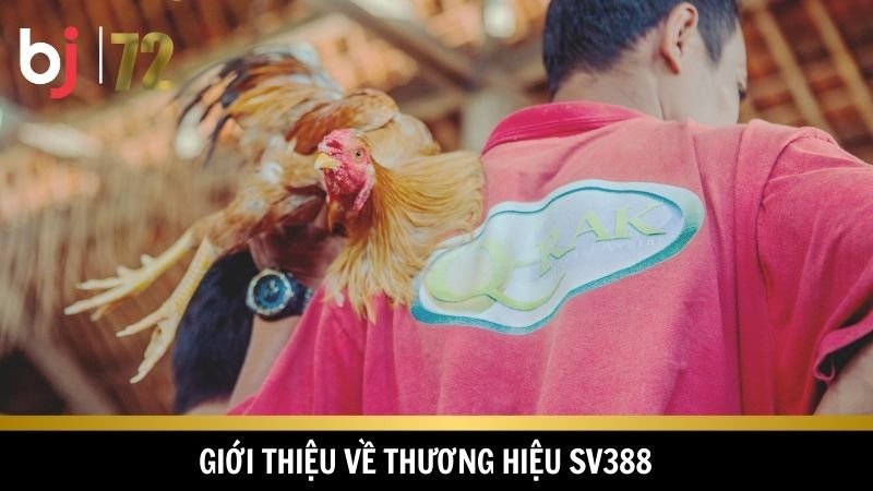 SV388 dẫn đầu xu hướng cá cược đá gà hiện nay