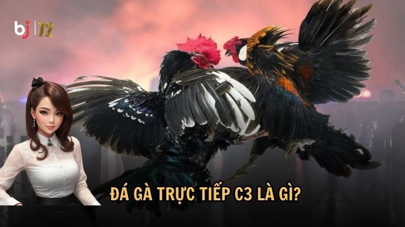 Đá gà trực tiếp C3 là gì?