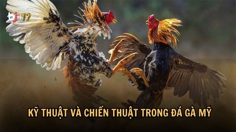 Kỹ thuật và chiến thuật trong đá gà Mỹ