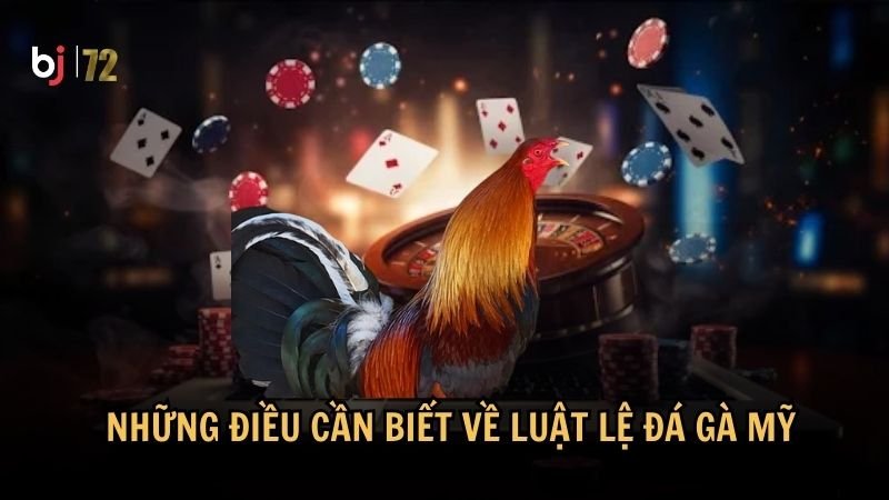 Những điều cần biết về luật lệ đá gà Mỹ