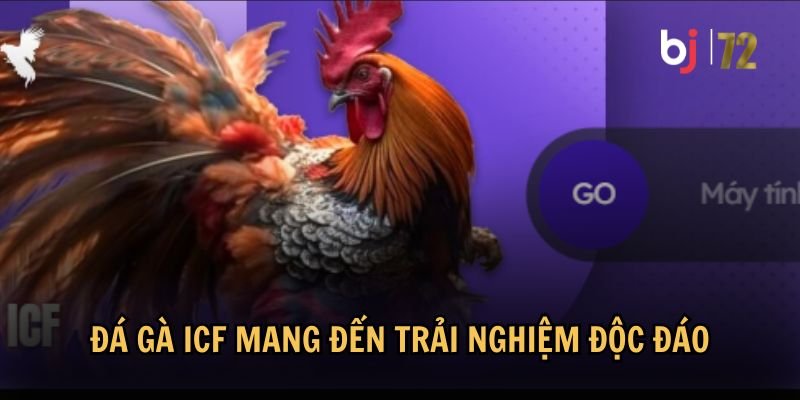 Thông tin về sảnh đá gà ICF